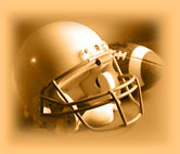 FUZZY'S FANTASY FOOTBALL